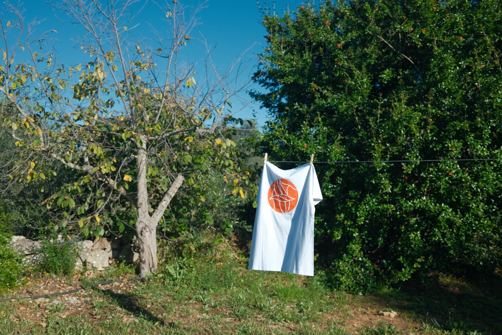 beautiful nature near the beach wearing t-shirt with summer mood